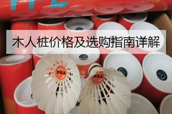 木人桩价格及选购指南详解
