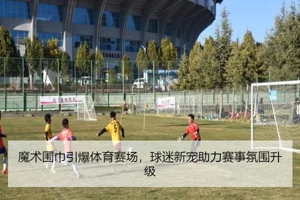 魔术围巾引爆体育赛场，球迷新宠助力赛事氛围升级