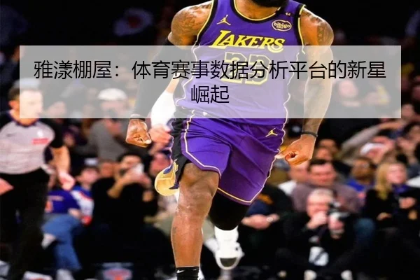 雅漾棚屋：体育赛事数据分析平台的新星崛起