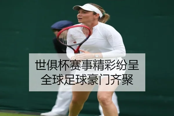 世俱杯赛事精彩纷呈 全球足球豪门齐聚